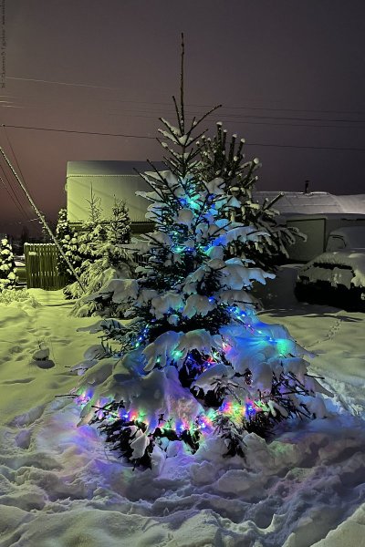 hny21132