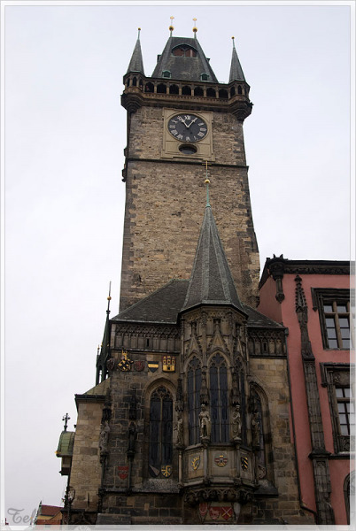 6078_800.jpg