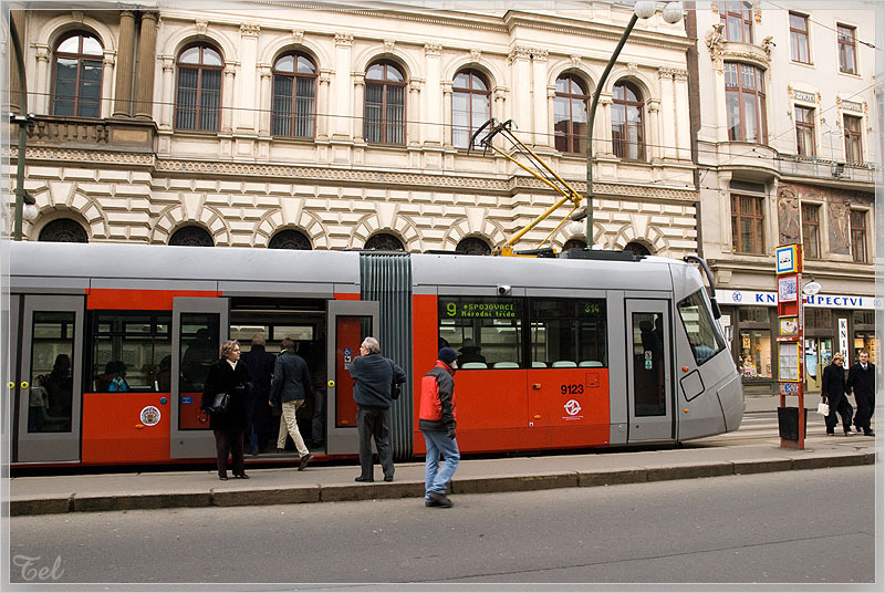 6207_800.jpg