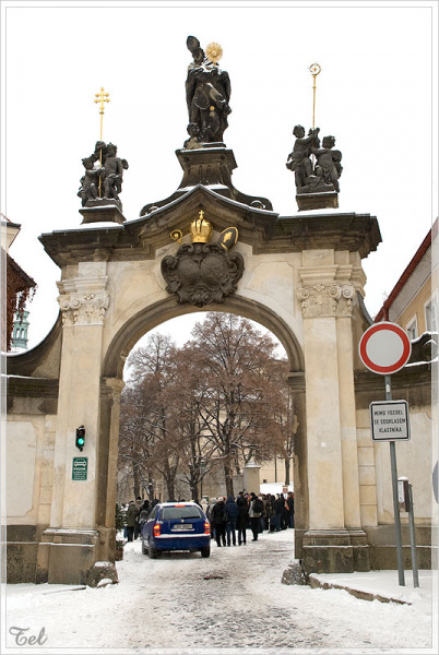 6281_800.jpg
