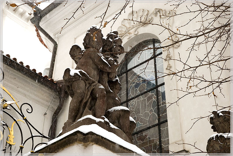6300_800.jpg