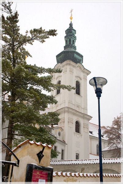 6312_800.jpg