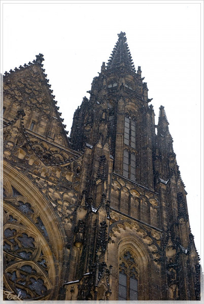 6383_800.jpg