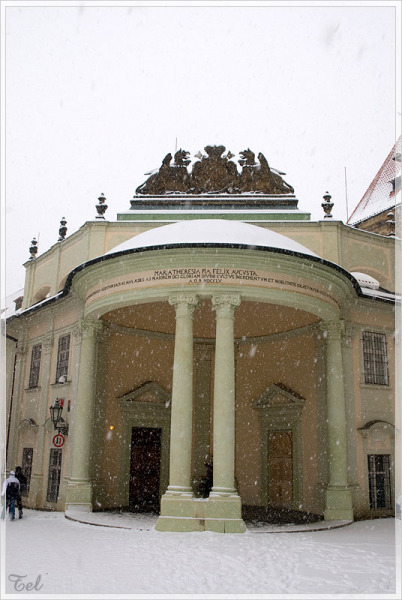 6432_800.jpg