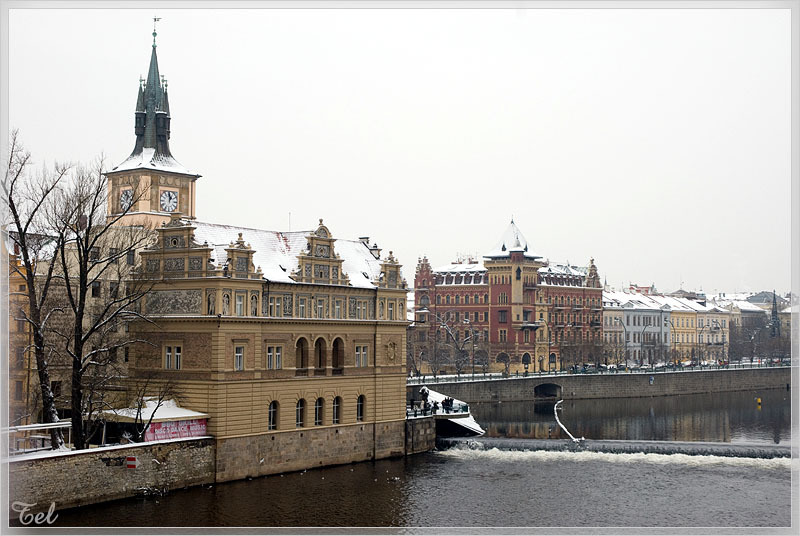 6486_800.jpg