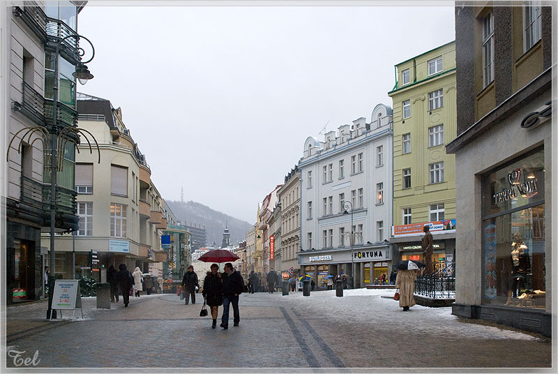 6626_800.jpg