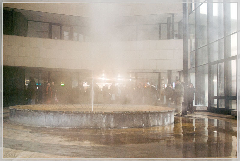 6697_800.jpg