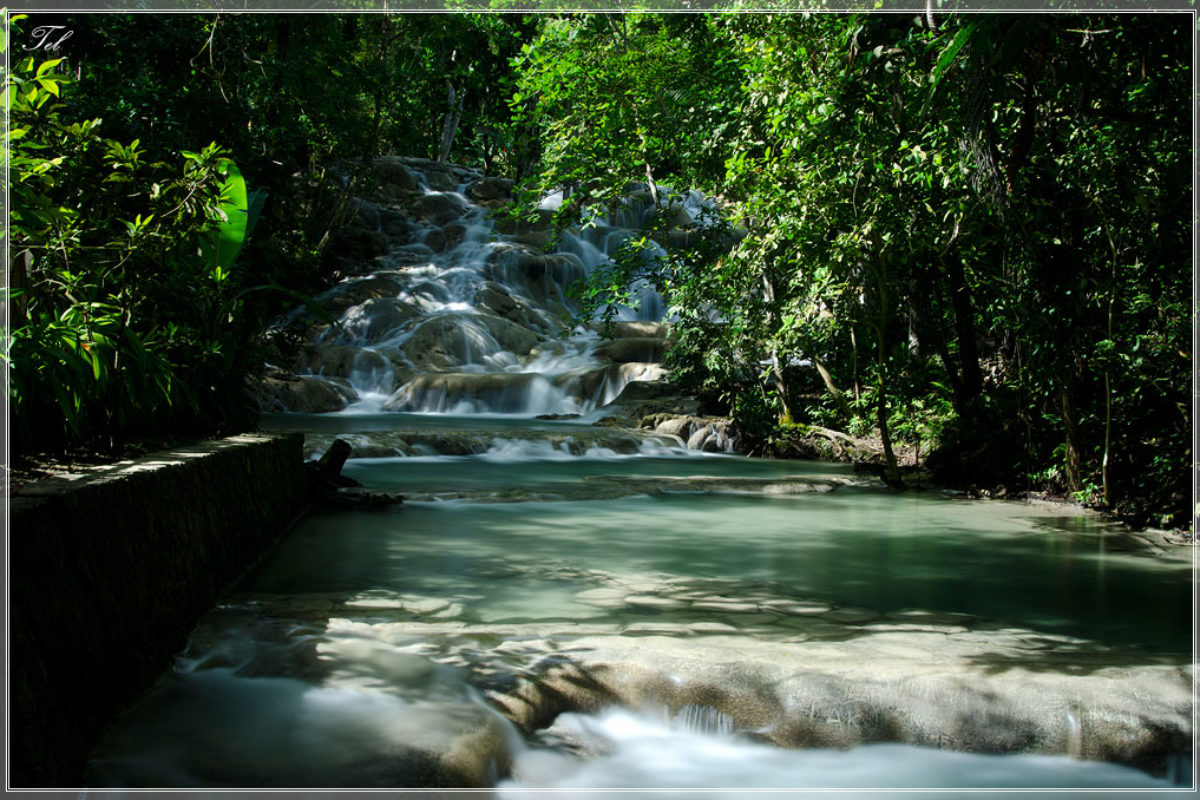Dunn’s river