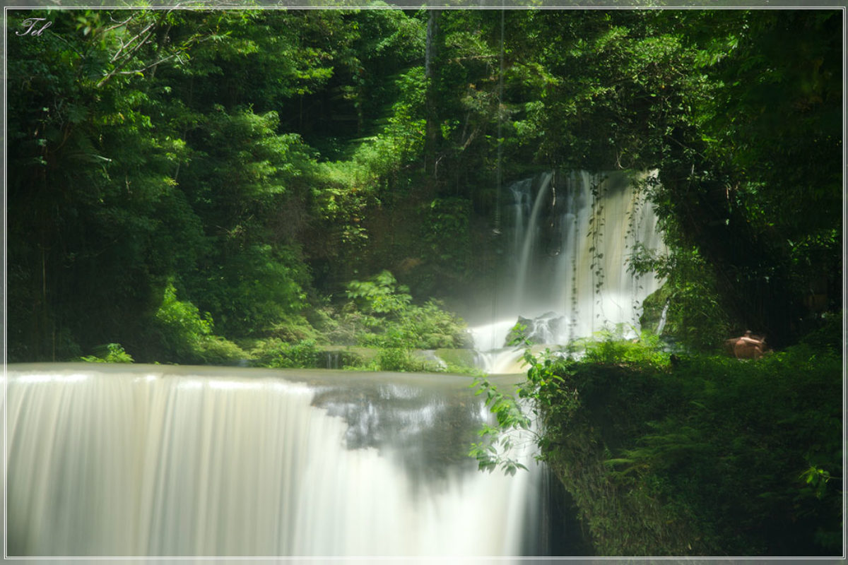 YS Falls и Black River