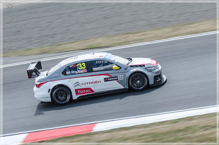 WTCC 2014: 6 этап, Moscow Raceway, Россия